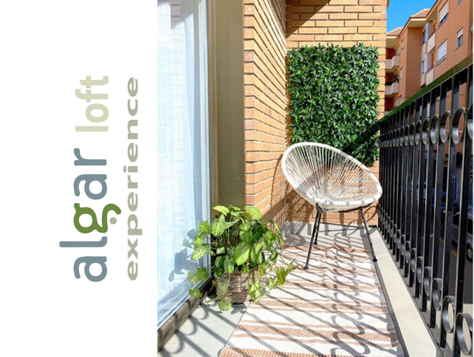Callosa de EnsarriáAlgar Loft, Diseno Y Climatizacion公寓 外观 照片